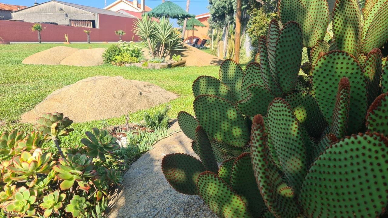 Hollidays Dreams Vila Póvoa de Varzim Exterior foto
