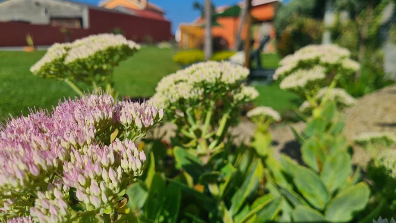 Hollidays Dreams Vila Póvoa de Varzim Exterior foto